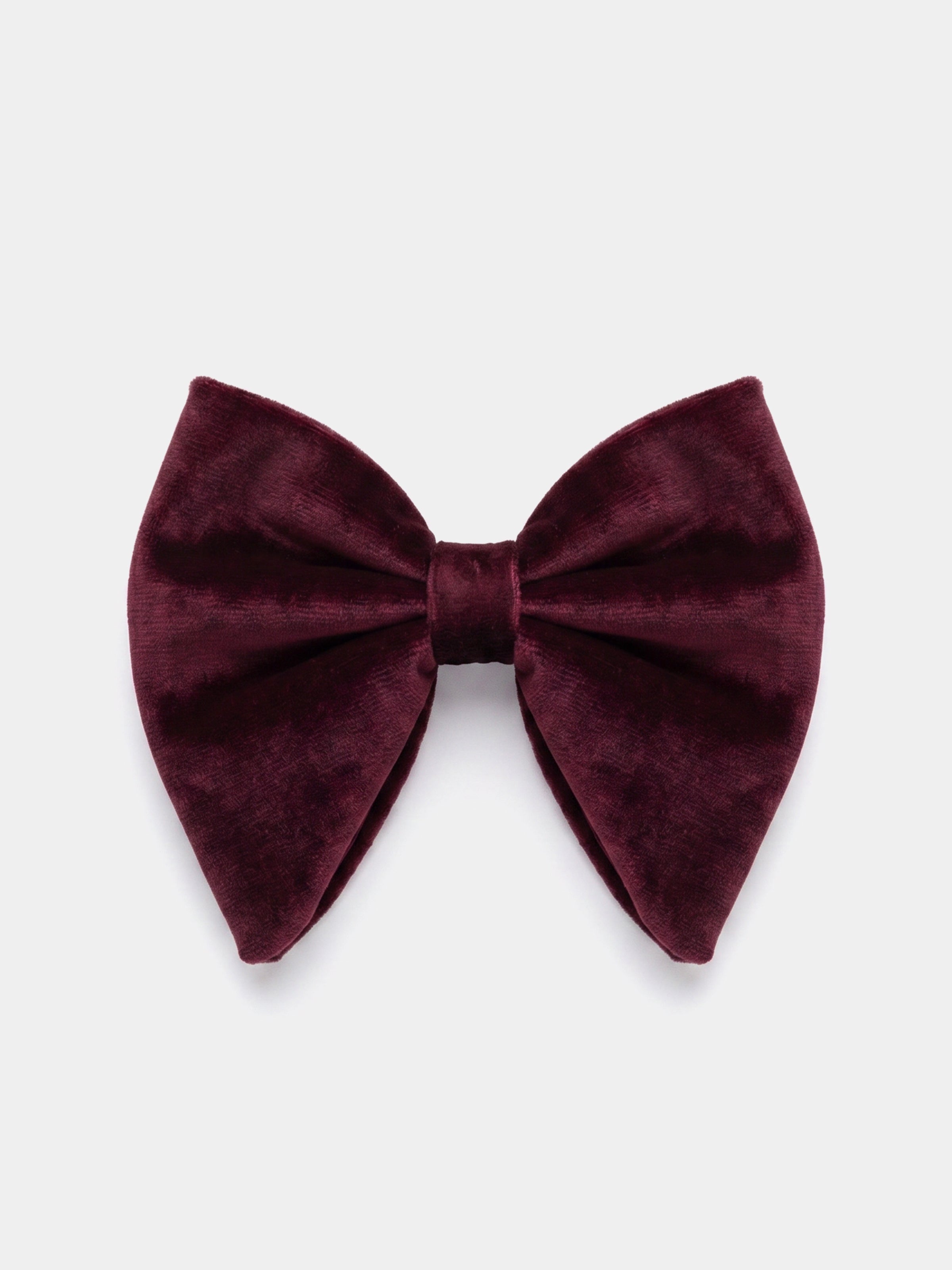 Papion catifea burgundy