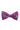 Purple Bow Tie Paisley Pattern
