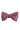 Blue Paisley Model Red Bow Tie