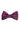 Navy Blue Paisley Pattern Red Bow Tie